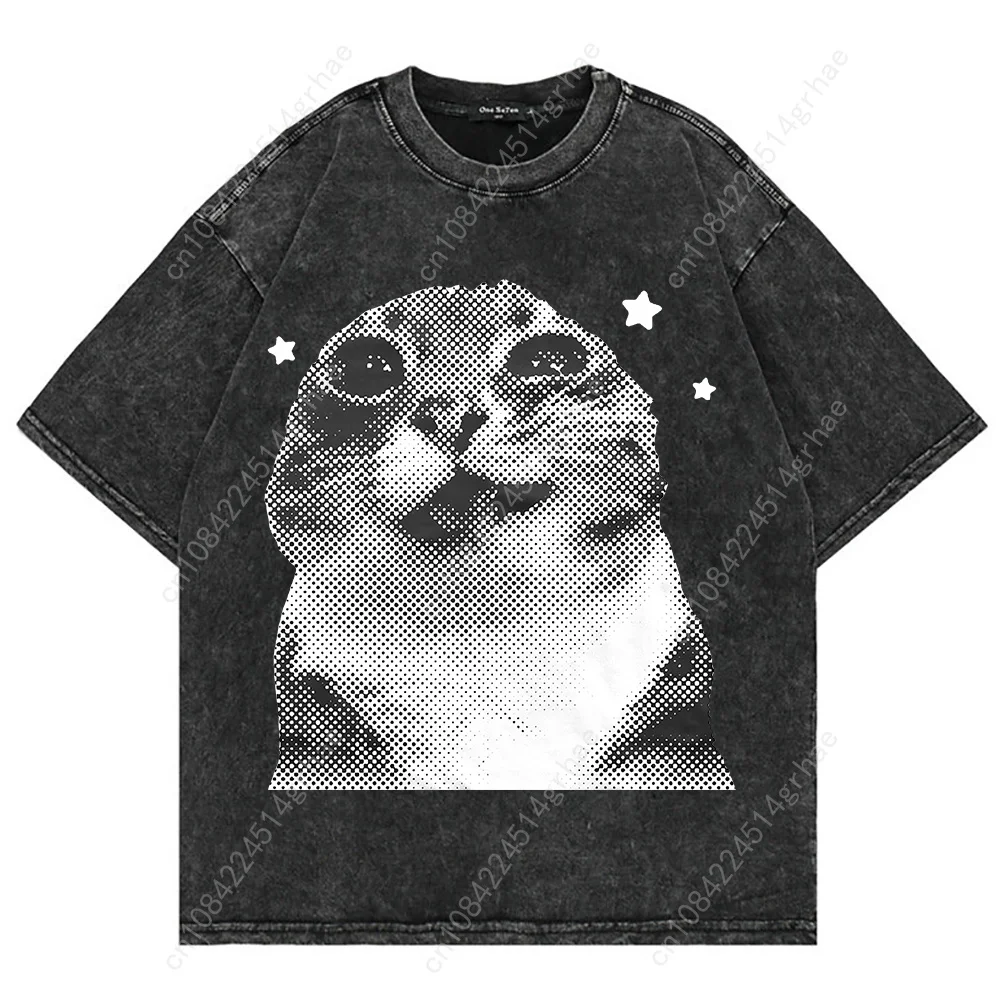 100% Cotton Vintage Washed Y2k - Graphic Tee Oversized recension och pris